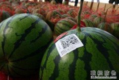西瓜防偽標(biāo)簽有哪些功能？
